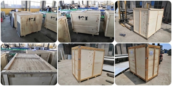 200 кг и 300 кг Вместимость замороженные органические IQF картофель фри с 7 * 7 мм резкой